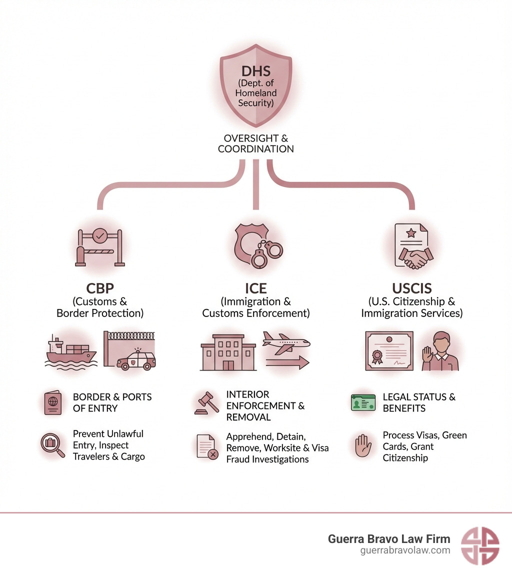 Infographic explaining the key roles of DHS, ICE, CBP, and USCIS in the U.S. immigration system. - immigration compliance and enforcement infographic