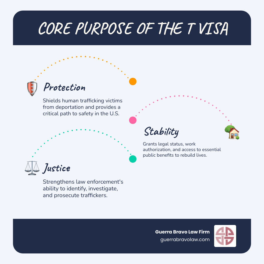 Infographic explaining the core purpose of a T Visa: Protection, Stability, and Justice - T visa lawyer infographic infographic-line-3-steps-blues-accent_colors